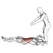 Ejercicio Elevación de piernas tumbado asistida con lanzamiento para trabajar abdominales