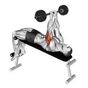Ejercicio Con barra declinado agarre cerrado a skull press para trabajar tríceps
