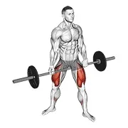 Ejercicio Con barra jefferson sentadilla para trabajar glúteos