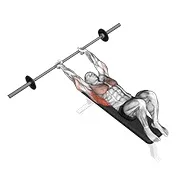 Ejercicio Con barra pullover para trabajar dorsales