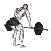 Ejercicio Remo posterior de deltoides con barra para trabajar deltoides