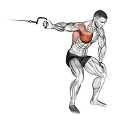 Ejercicio En polea a un brazo lateral flexionado sobre para trabajar pectorales