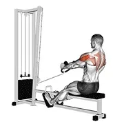 Ejercicio Remo posterior de deltoides en polea (stirrups) para trabajar deltoides
