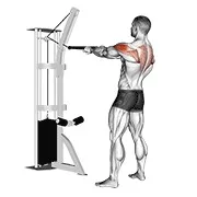 Ejercicio En polea de pie remo posterior de deltoides (con en cuerda) para trabajar deltoides