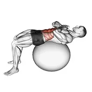 Ejercicio Crunch abdominal (en con pelota de estabilidad) para trabajar abdominales