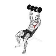 Ejercicio Con mancuerna inclinado hombro elevación para trabajar serrato anterior