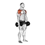 Ejercicio Con mancuerna lateral a elevación frontal para trabajar deltoides