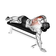 Ejercicio Con mancuerna tumbado a un brazo deltoid trasero para trabajar deltoides