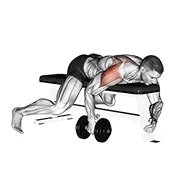 Ejercicio Con mancuerna tumbado a un brazo trasero elevación lateral para trabajar deltoides