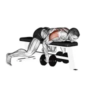 Ejercicio Con mancuerna tumbado trasero elevación lateral para trabajar deltoides