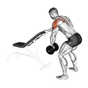 Ejercicio Con mancuerna a un brazo aperturas inversas (con apoyo) para trabajar deltoides