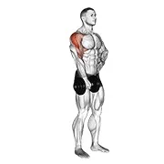 Ejercicio Con mancuerna a un brazo remo al cuello para trabajar deltoides