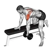 Ejercicio Con mancuerna deltoides posterior row_shoulder para trabajar deltoides