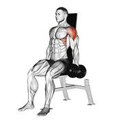 Ejercicio Con mancuerna sentado elevación lateral v. 2 para trabajar deltoides
