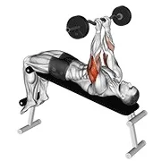 Ejercicio EZ con barra declinado agarre cerrado face press para trabajar tríceps