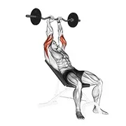 Ejercicio EZ con barra inclinado extensión de tríceps para trabajar tríceps
