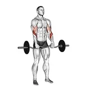 Ejercicio EZ con barra inverso agarre curl para trabajar bíceps