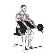 Ejercicio EZ con barra inverso agarre curl predicador para trabajar bíceps