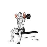 Ejercicio EZ con barra sentado extensión de tríceps para trabajar tríceps