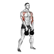 Ejercicio Con kettlebell doble alternando colgado cargada para trabajar bíceps