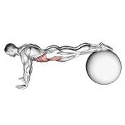 Ejercicio Jalón en (en con pelota de estabilidad) para trabajar abdominales