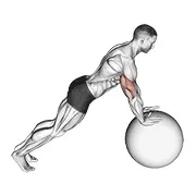 Ejercicio Flexión de brazos (en con pelota de estabilidad) para trabajar pectorales