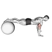 Ejercicio Flexión de brazos (en con pelota de estabilidad) para trabajar pectorales