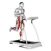 Ejercicio Carrera (equipment) para trabajar sistema cardiovascular
