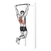Ejercicio Scapular dominada para trabajar trapecios