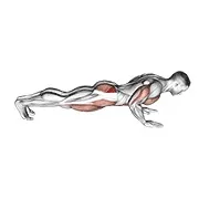 Ejercicio Spider crawl flexión de brazos para trabajar glúteos