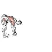 Ejercicio De pie rueda rollerout para trabajar abdominales