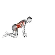 Ejercicio Rueda rollerout para trabajar abdominales