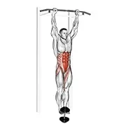Ejercicio Con peso adicional colgante pierna elevación de cadera para trabajar abdominales