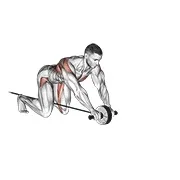 Ejercicio Con banda elástica asistido rueda rollerout para trabajar abdominales