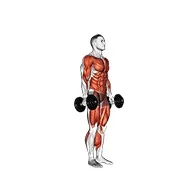 Ejercicio Con mancuerna burpee para trabajar sistema cardiovascular