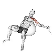 Ejercicio En polea a un brazo inclinado aperturas en con pelota de ejercicio para trabajar pectorales