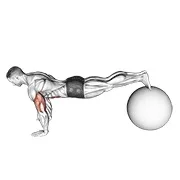 Ejercicio Con pelota de ejercicio flexión de brazos pica para trabajar pectorales