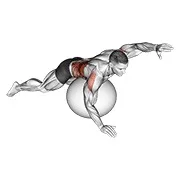 Ejercicio Con pelota de ejercicio alternando brazo ups para trabajar dorsales