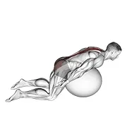 Ejercicio Con pelota de ejercicio extensión de espalda con brazos extendido para trabajar columna