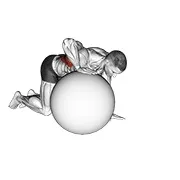 Ejercicio Con pelota de ejercicio dorsal estiramiento para trabajar dorsales