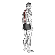 Ejercicio De pie pelvic tilt para trabajar columna