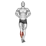 Ejercicio Ankle círculos para trabajar pantorrillas