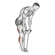 Ejercicio De pie isquiotibial y gemelo estiramiento con strap para trabajar isquiotibiales