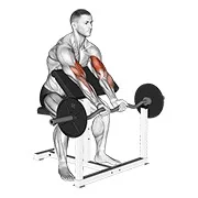Ejercicio EZ con barra agarre cerrado curl predicador para trabajar bíceps