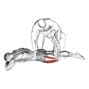Ejercicio Asistido boca abajo tumbado cuádriceps estiramiento para trabajar cuádriceps