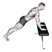 Ejercicio Inclinado scapula flexión de brazos para trabajar serrato anterior