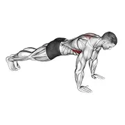 Ejercicio Scapula flexión de brazos para trabajar serrato anterior