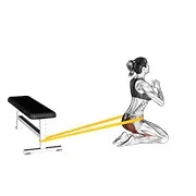 Ejercicio Con banda elástica cadera thrusts en rodillas (mujer) para trabajar glúteos