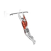 Ejercicio Balanceo 360 para trabajar sistema cardiovascular