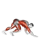 Ejercicio Bear crawl para trabajar sistema cardiovascular